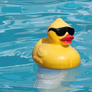 rubber duck wearing sunglasses floating in water