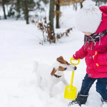 kid shoveling snow with her dog biting the shovel handle