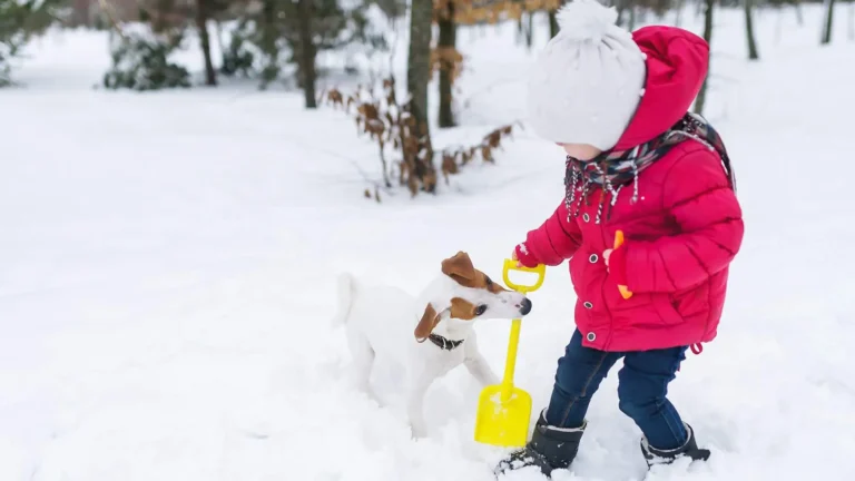 kid shoveling snow with her dog biting the shovel handle