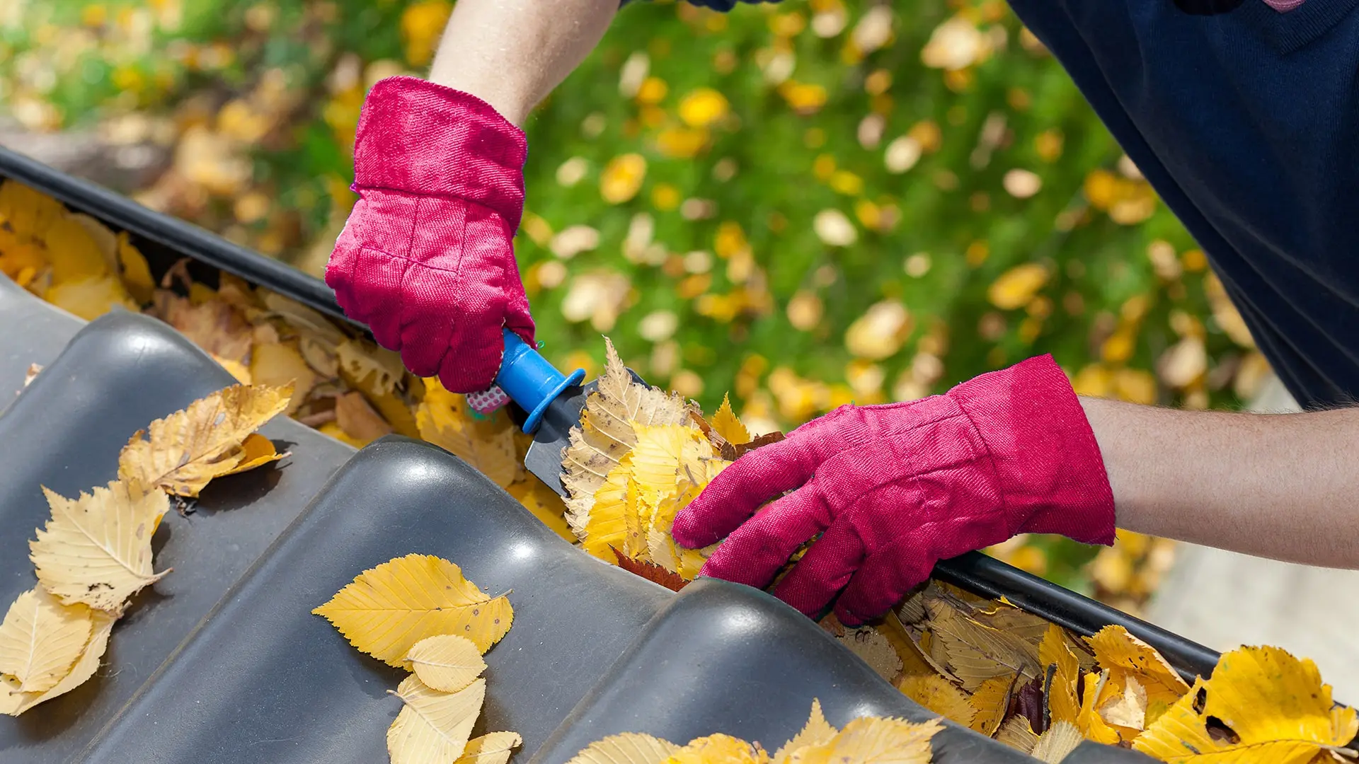 cleaning out leaves from eavestrough
