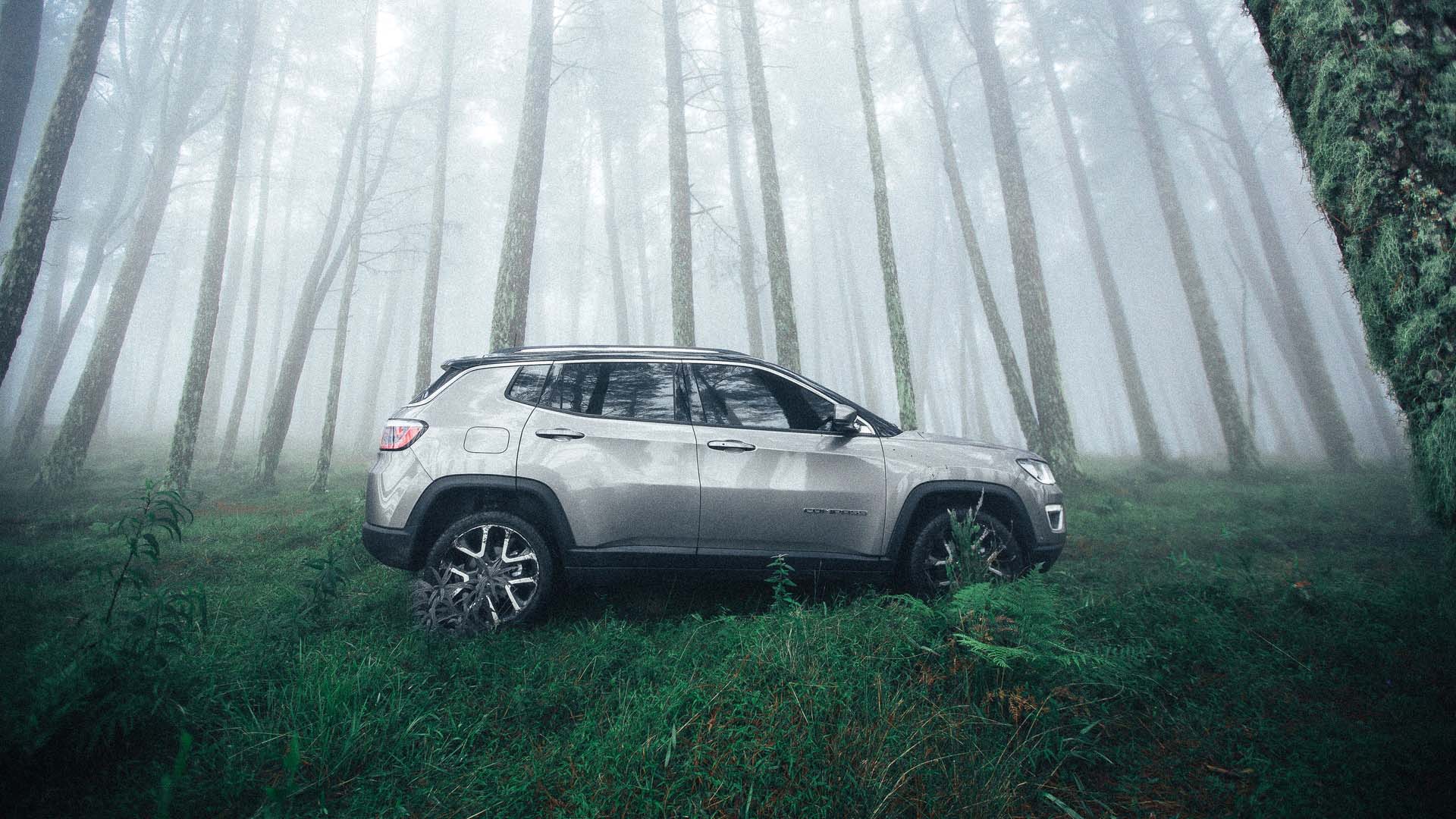 grey suv in forest