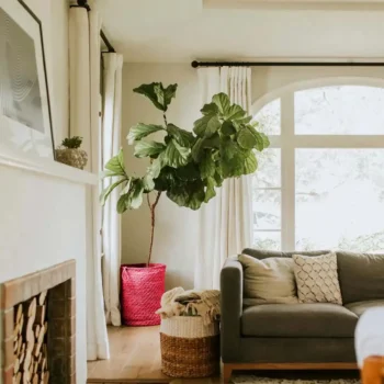 homeowners living room
