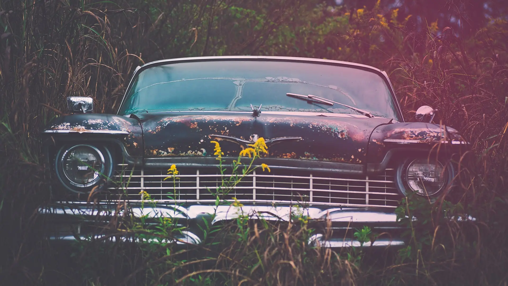 old car in field with grass around it