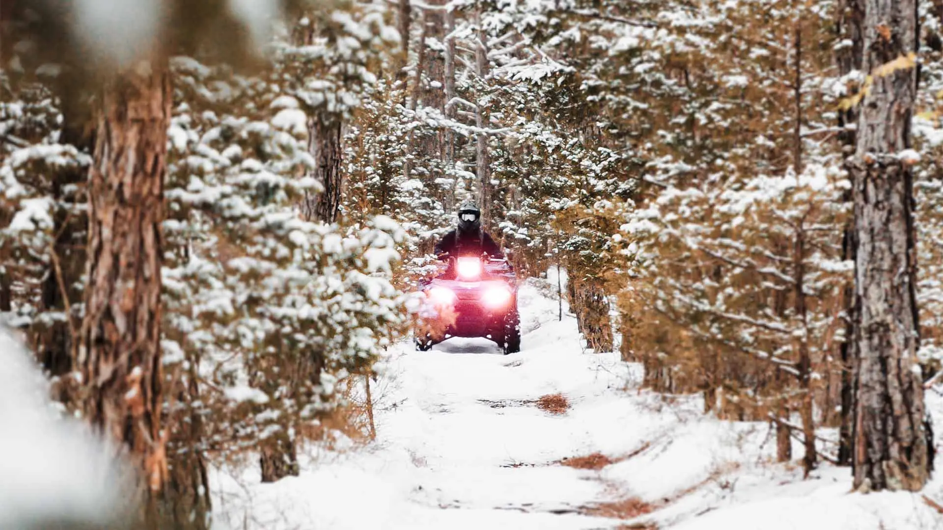 Person driving an ATV down a forested snowy trail.