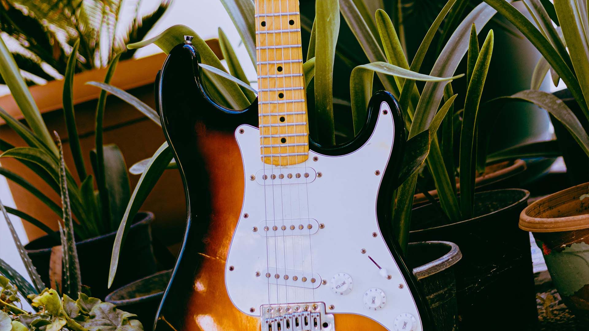 Brown and white stratocaster electric guitar