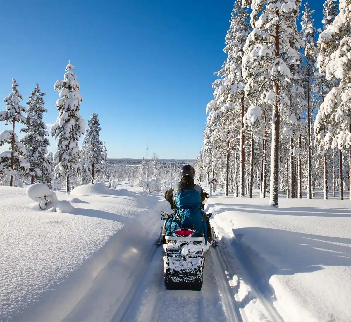 Snowmobiler riding along a path in a snowy forest.