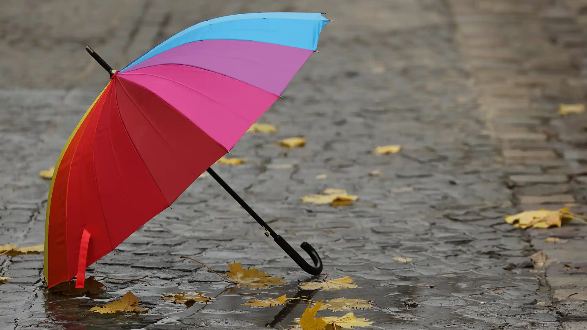 Umbrella in bad weather.