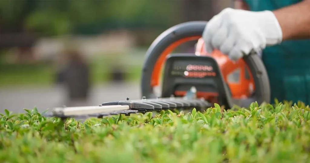 Landscaper trimming hedges.