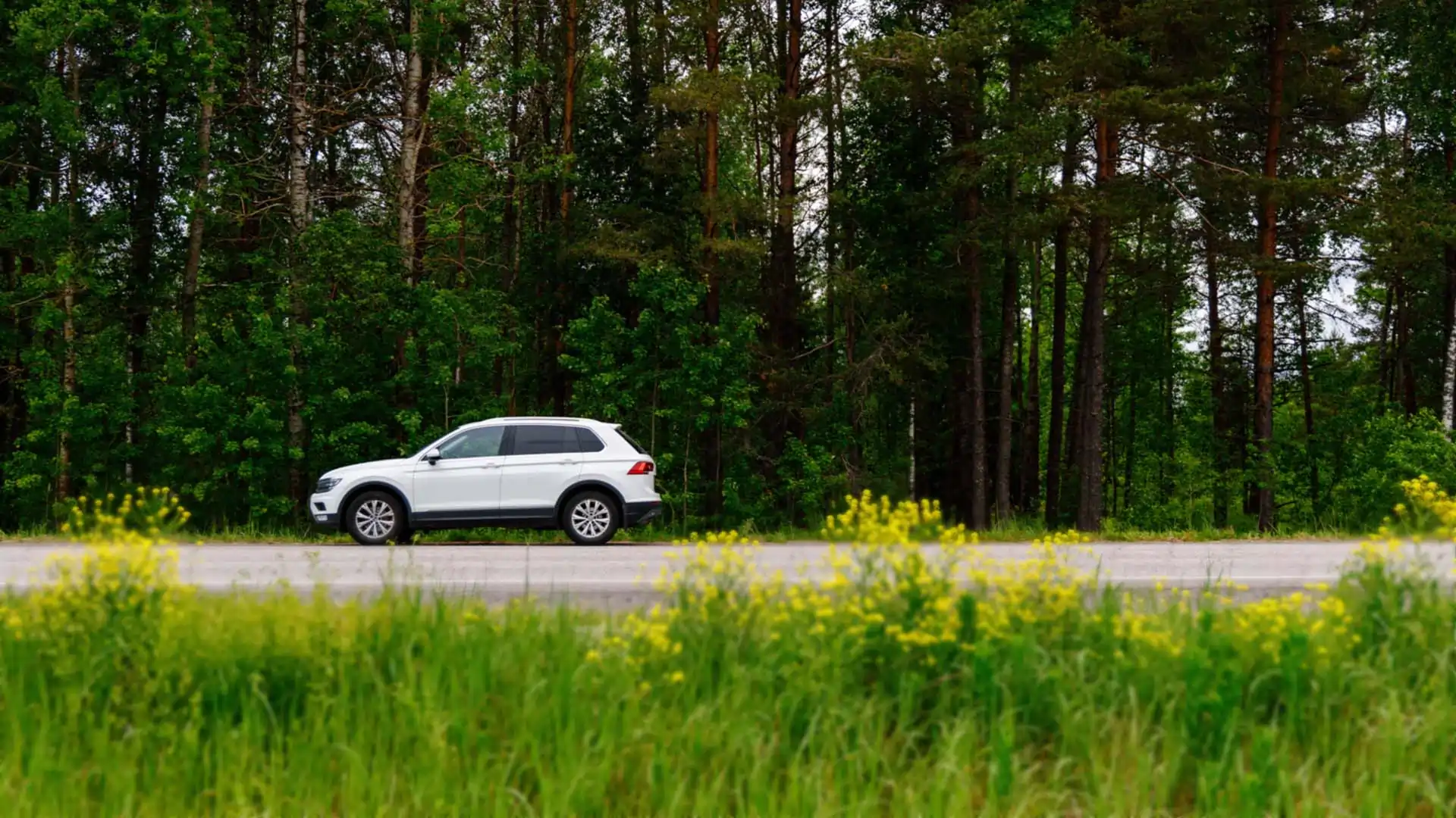 Car on the road in Ontario during the Spring.